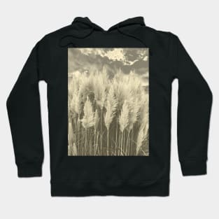 White Pampas Grass with dramatic sky above, nature sepia color photography Hoodie